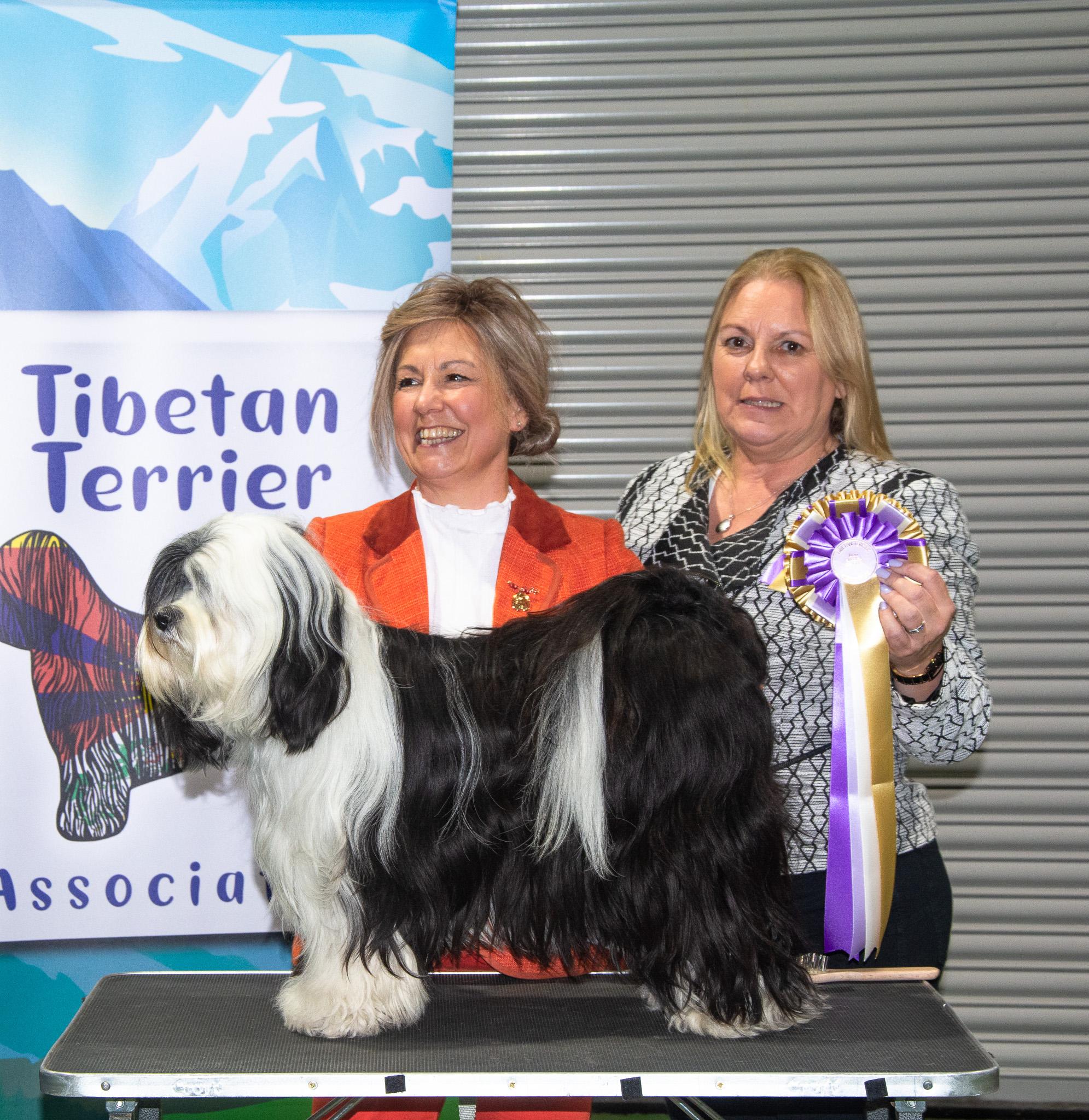 Best Beginner 2025 Judge E Hadlow