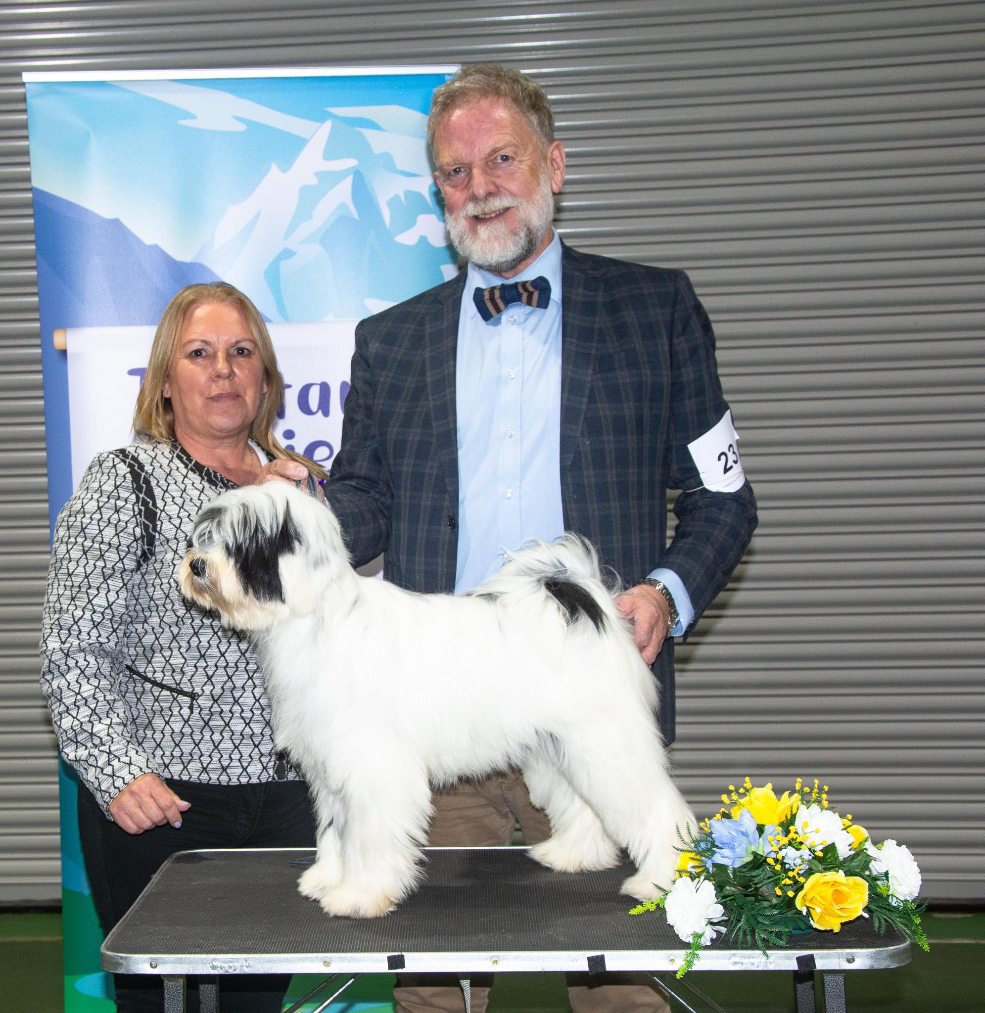 Best Puppy in Show 2025 Judge E Hadlow
