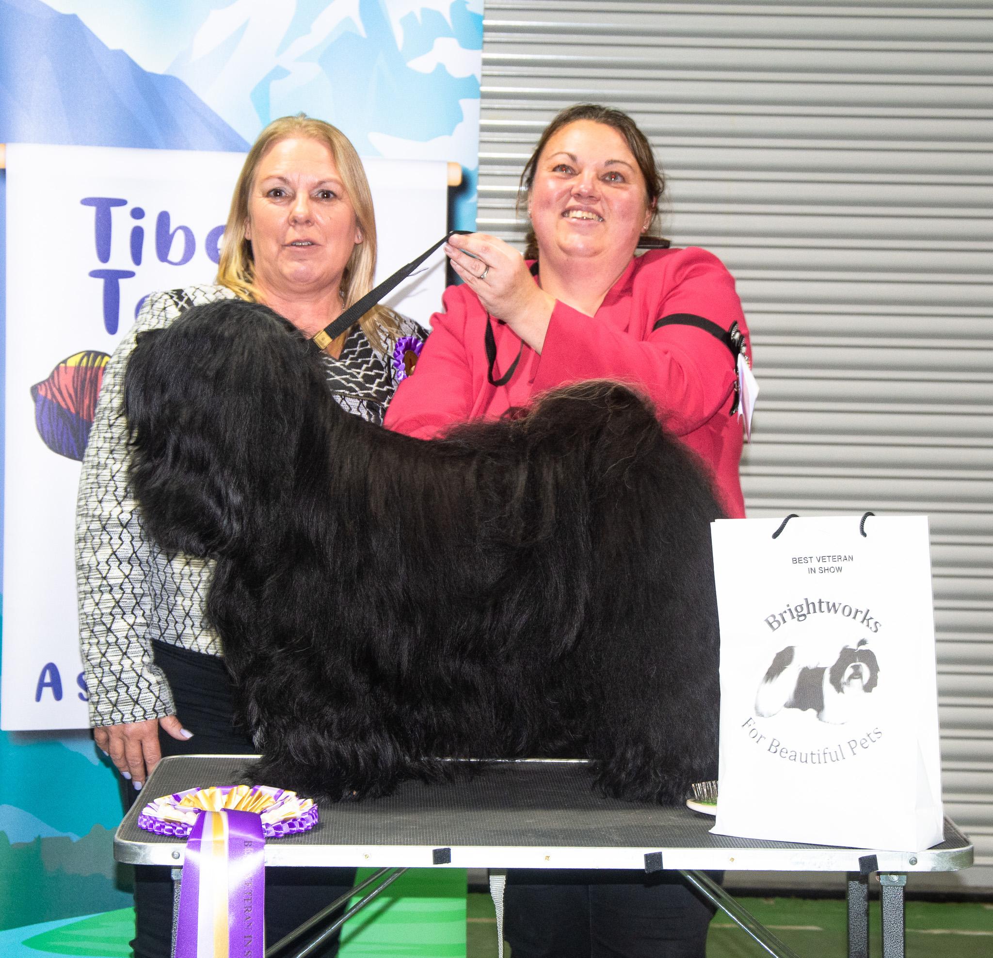 Best Veteran in Show 2025 Judge E Hadlow