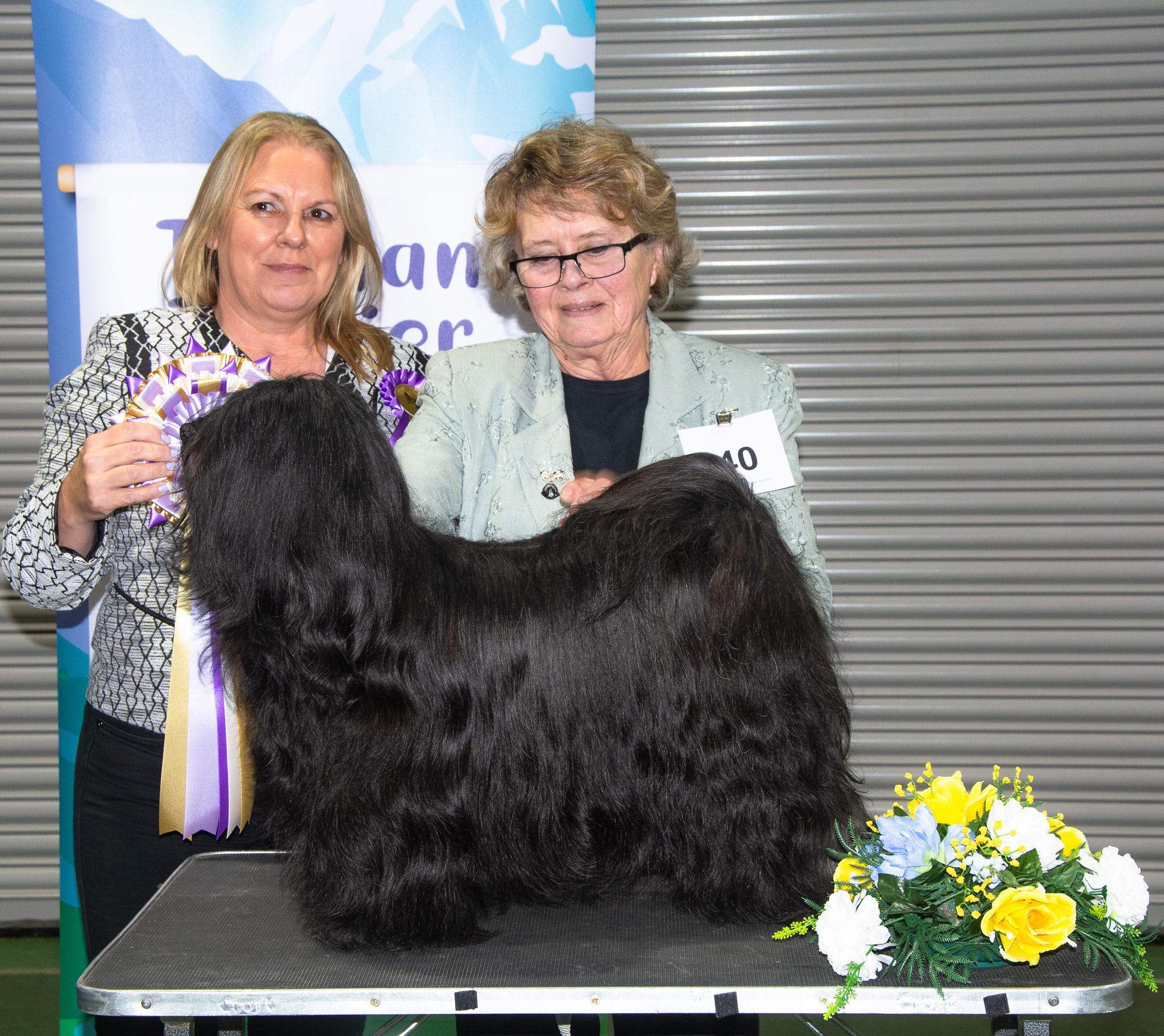 Best in Show 2025 Judge E Hadlow